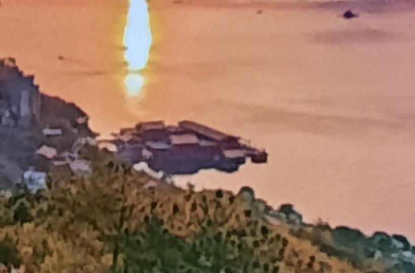 1000041577