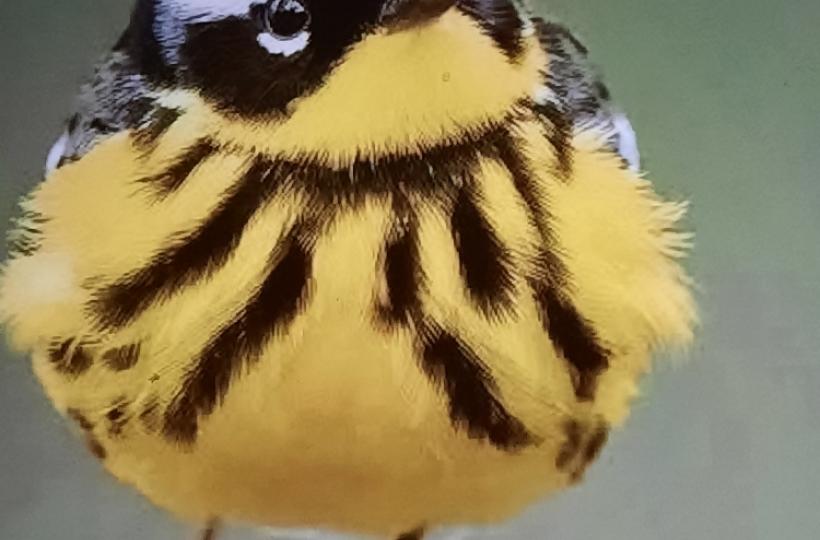 1000042360