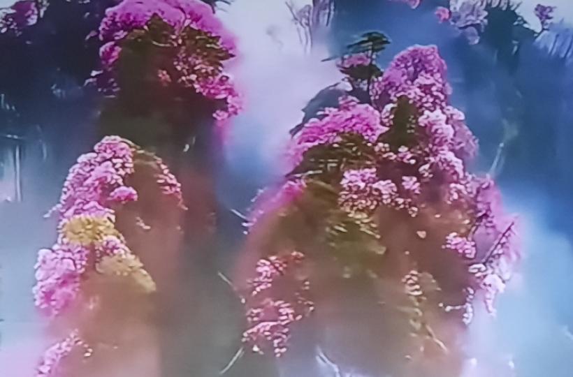 1000042453