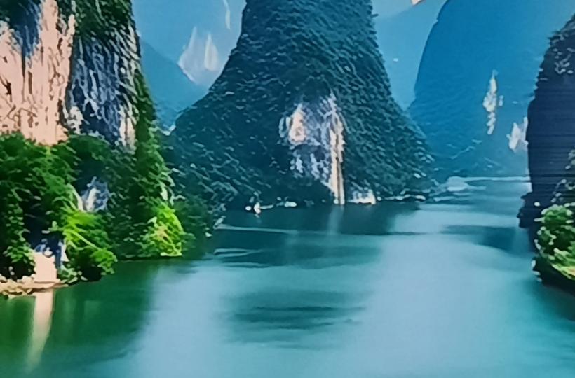 1000044319