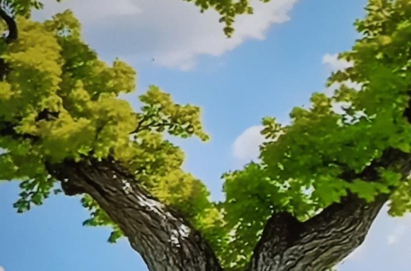 1000044350