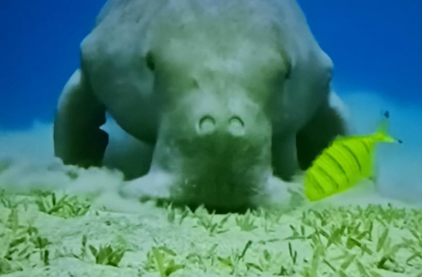 1000044647
