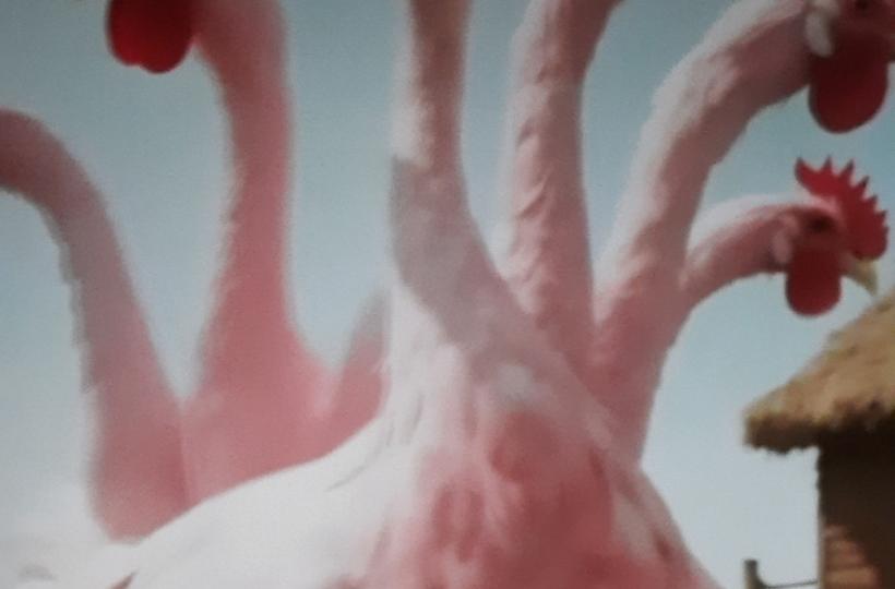 1000046444