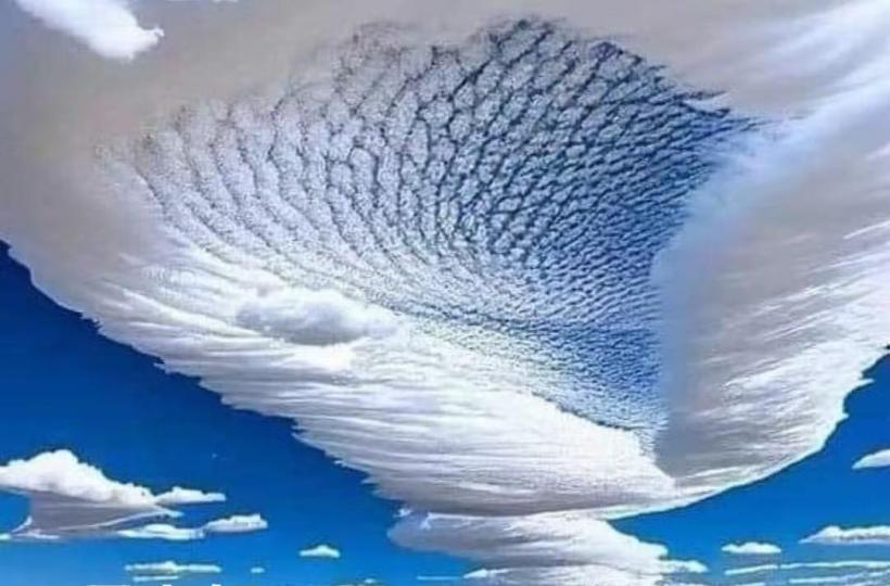 1000047758