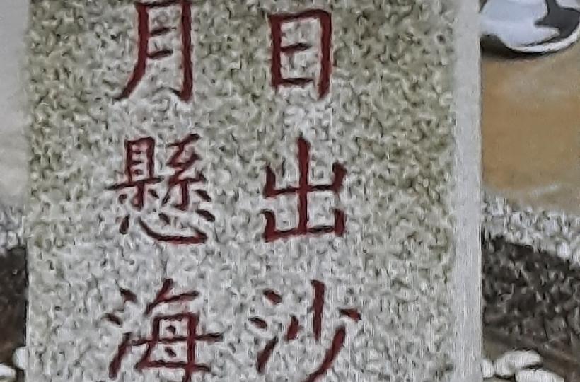 1000048006