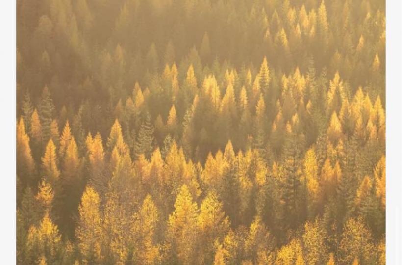 1039062B-E800-4321-ADF5-D6382624F324-6042-0000022FE274E18C