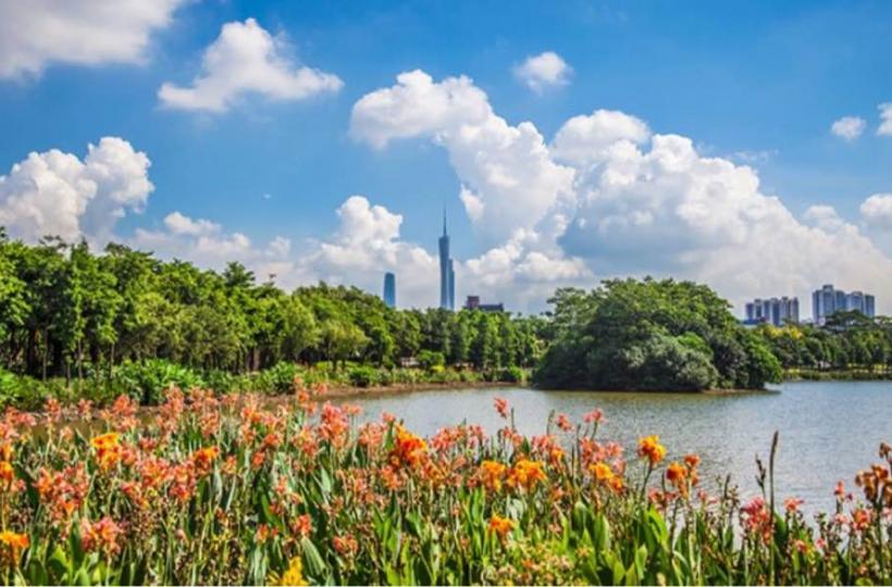 12AD2372-03C1-4162-A4A0-E5876915E2F7-1478-0000002C11C1EC24