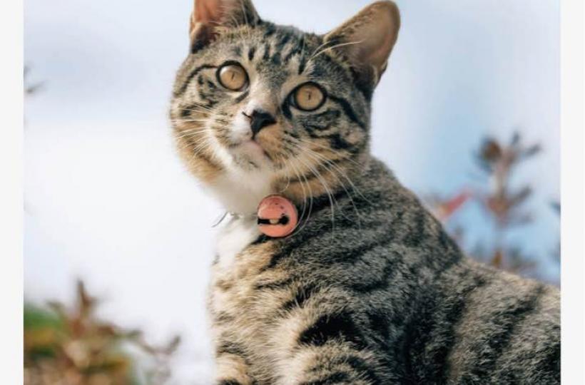 162769C3-06C9-4656-9FFC-DC0DAE35FF83-27897-0000087FA1202213