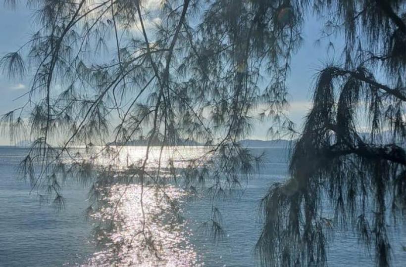 1828AE7D-D423-4440-8F2E-F9BCA9406196-726-00000013E19A6386