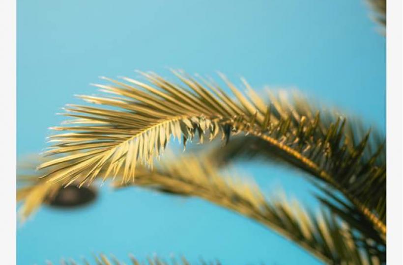 1A6015C4-DA58-4981-9B3D-953AD9EE1733-11867-0000043D23E00CA6