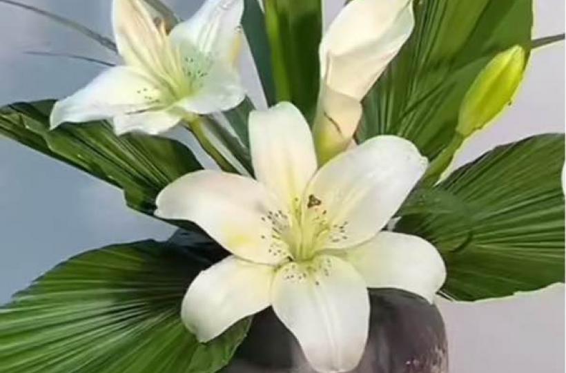 23AE0803-8A23-45B4-A63B-6B88FB076260-1088-0000001014CD9D64