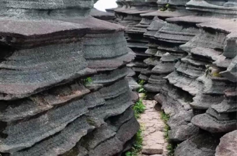 2B7F6DE3-CD7A-4649-B93C-6DFD854D8940-779-0000000C27F2689E