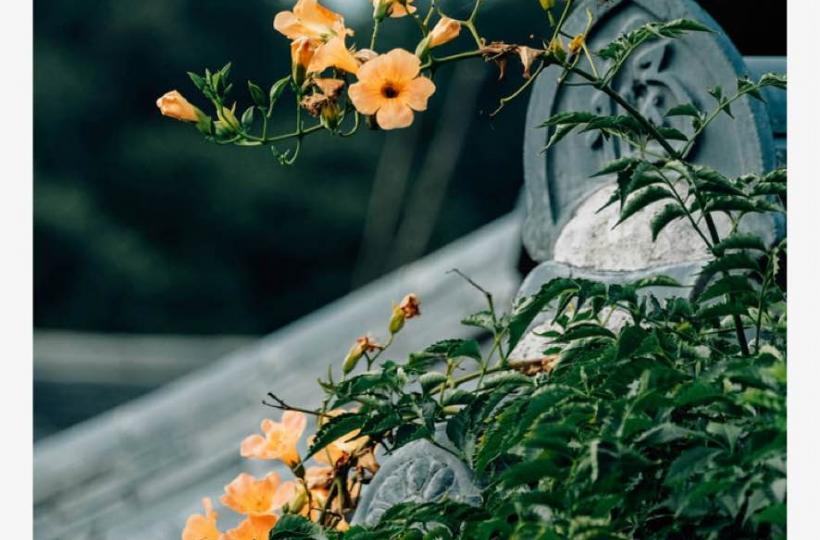 2EE0B859-0F77-4F3A-8583-29CC124B88E6-9931-0000028FF6A97C72