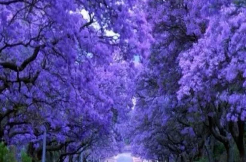 3504B024-02B4-46A2-9058-FDEAEACEC559-1375-000000487E07F01E