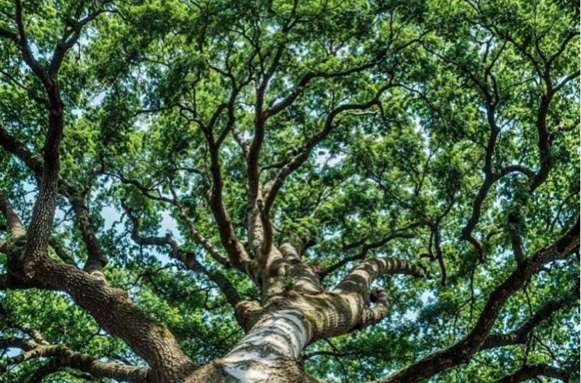 3C8B1CBA-6813-4EB3-A0FF-D5176CFC3096-1434-000000E3661F587B