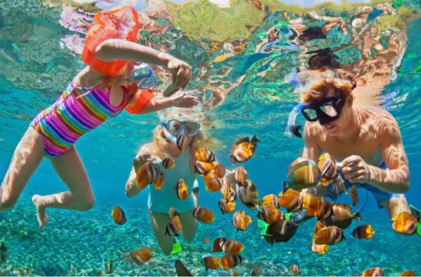 430A0C1B-C24D-4555-9B2A-B2A18FE5AF52-995-0000001330F85B55