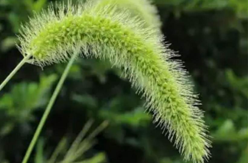 46136CC2-957D-4986-B1B8-8745E3822460-575-00000003C1BD1D1D