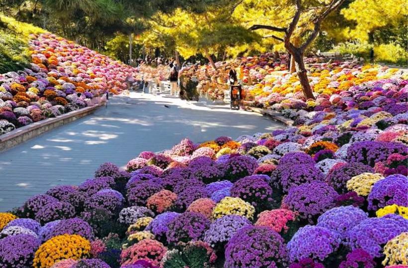 486C7020-9D09-4250-9397-D7A17E4B9840-726-0000011DE034C102