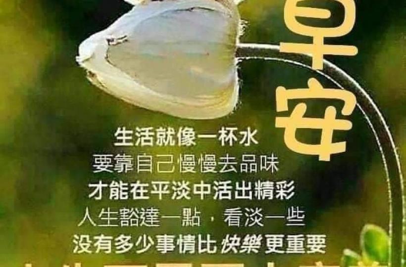 4b250ba4-d91c-4919-b752-b113053a4f77-1_all_16659