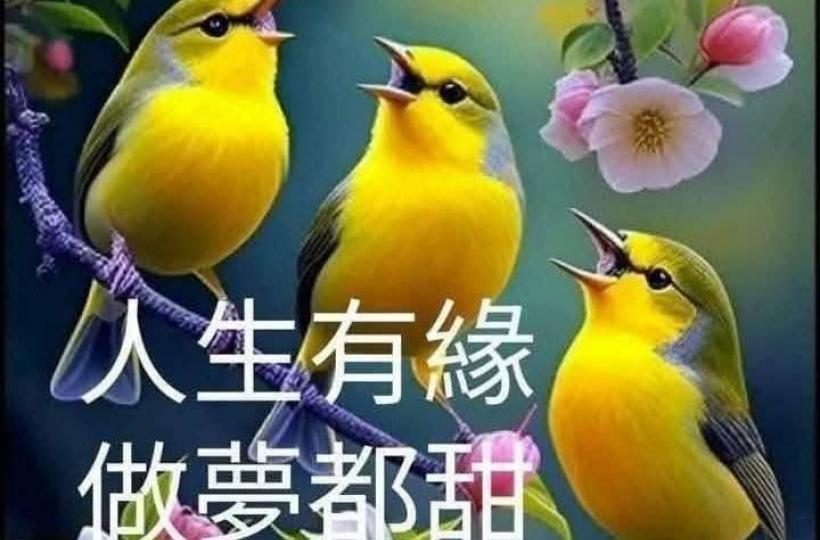 4b250ba4-d91c-4919-b752-b113053a4f77-1_all_28534