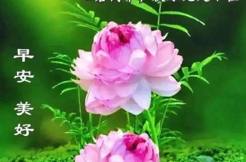 4b250ba4-d91c-4919-b752-b113053a4f77-1_all_28826