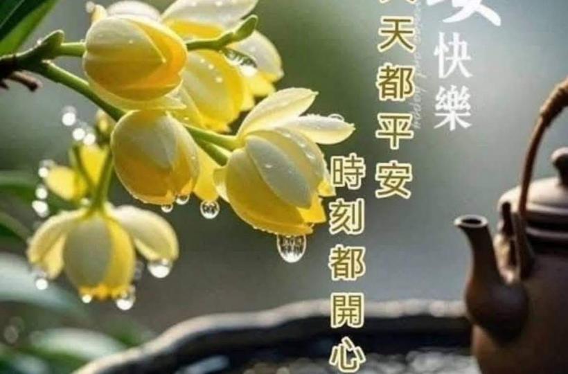 4b250ba4-d91c-4919-b752-b113053a4f77-1_all_28950