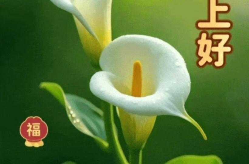 5735
