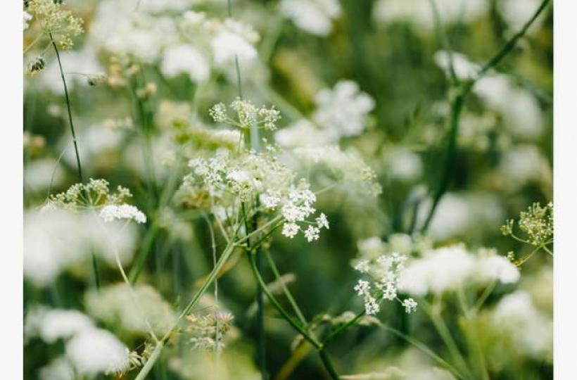 73B276EC-5259-41DD-8160-A5E5CBE72817-651-00000011ADE86C8B