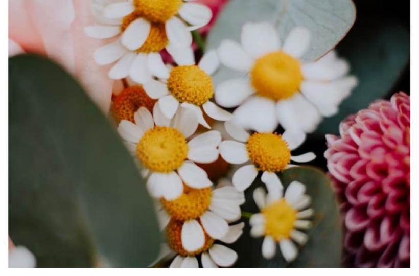 79F71736-04AD-424C-AA9E-F40579C6C373-6634-0000023AE1B64C5A