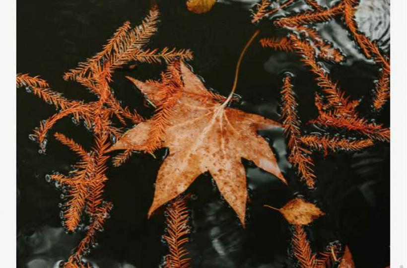 7B208CE8-E65F-40F5-8F83-7A51B85F0130-13213-0000048D7F25AC3E