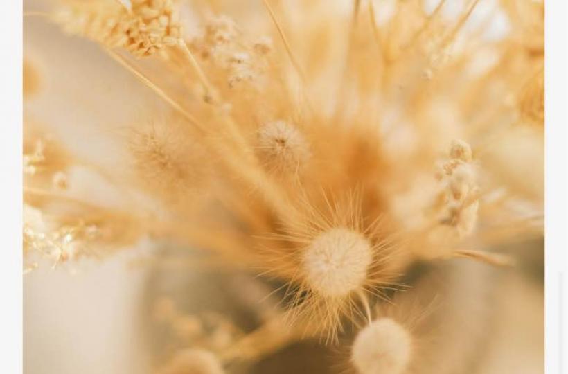 8035273A-8512-4F56-8ED4-FC8874AA89D8-9931-0000028F8395BB81