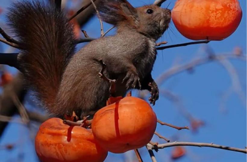 853D21A4-DD0C-4101-9ABF-3B57AFF3E818-1627-0000002A29CF782D