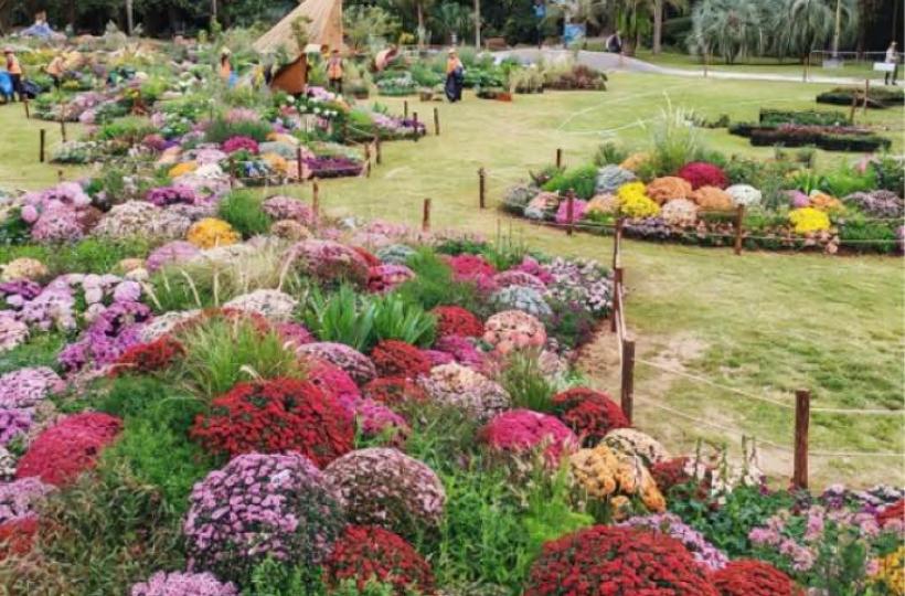 8569326B-DF71-4342-A785-5FE31BB4EA43-1434-0000001FEEAD0221