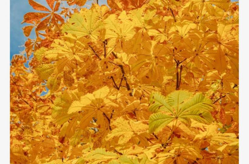 94139651-248E-4DF0-BB5B-FEAD91C3598A-9976-00000351385DE288