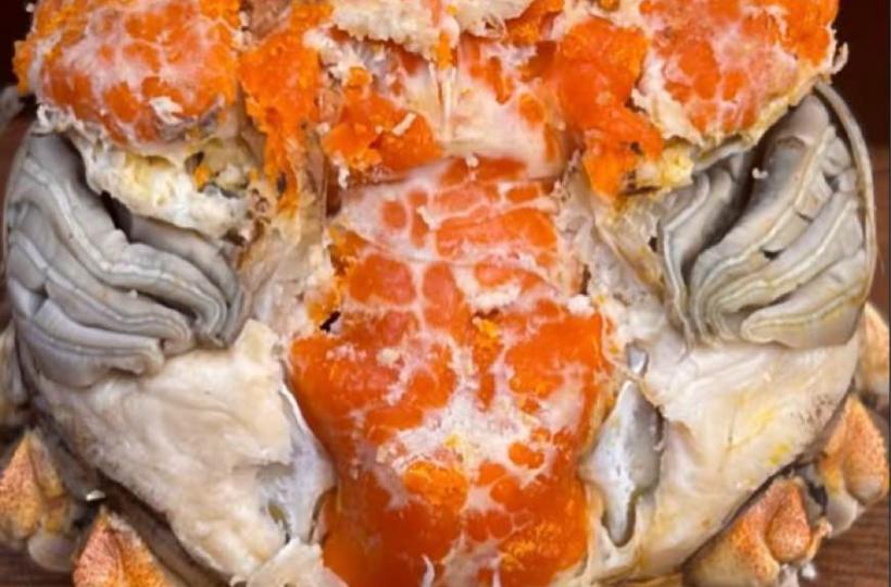 A0AABDC2-7541-4A5E-BB0A-508F775DA071-1375-0000004B9651AF0B