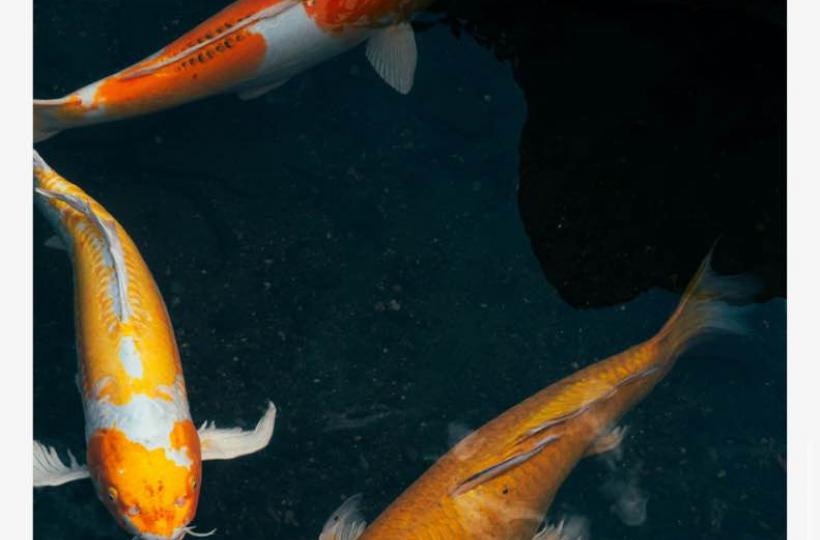 AD53D91C-3578-4A93-B9C1-D06503009D2E-1163-0000000E95383D19