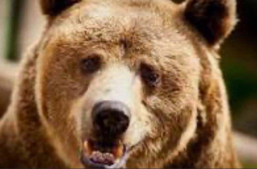 AD9CD633-C1FA-42A0-8CE1-9555F5F00512-1874-00000028A39FBEC8