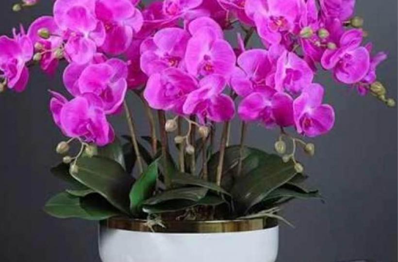 B45325D2-731C-427A-B722-E2E77853247D-1492-0000002679602343