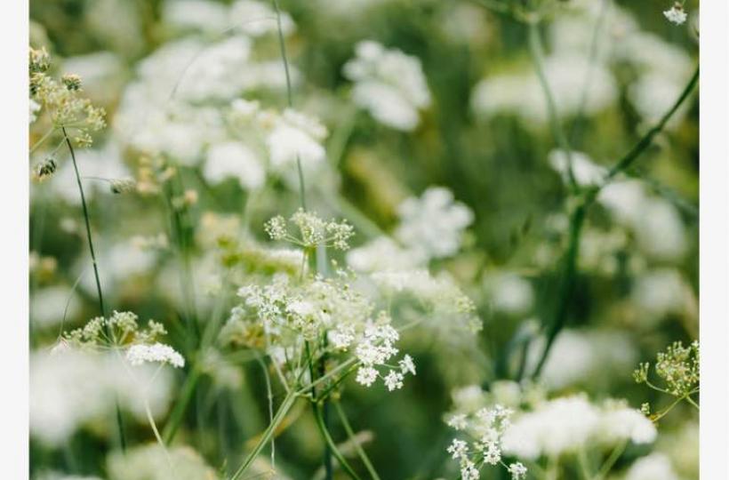 B6A76199-8726-4AF2-AF08-769C40AE5127-8709-000001A1FF7DC1CD