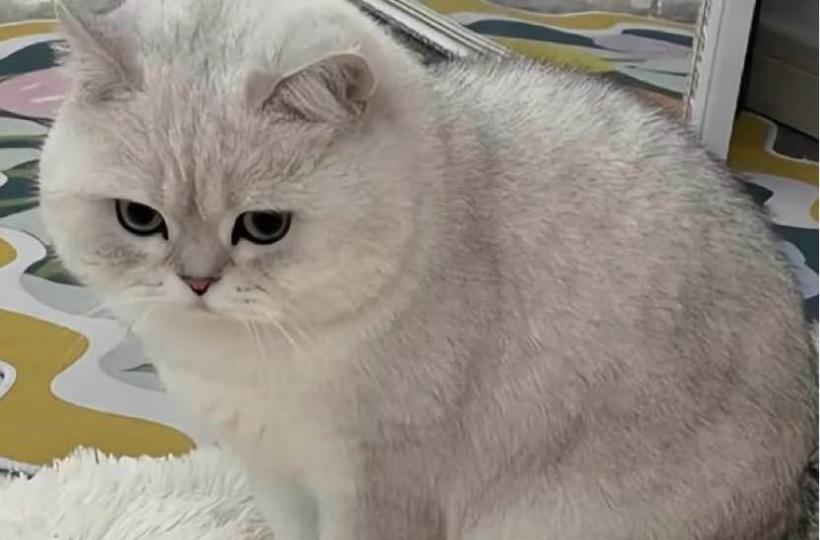 B76E5E4B-BBCB-4658-AE68-D82DB8E26ABC-1434-00000020385B6B51