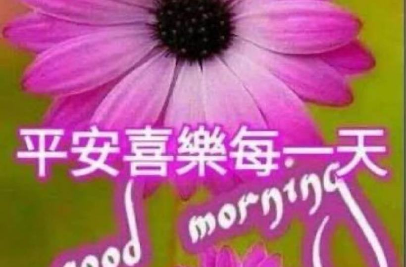 BF0B2676-E1BD-4A96-865C-80278C5B3DDD-995-00000013966289A5