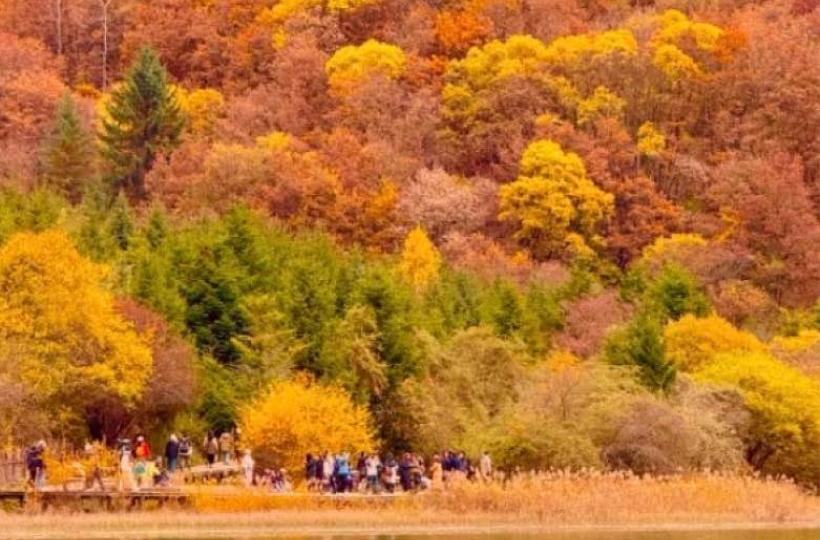 C078D15D-0B1E-4B64-97DE-27237C40C930-1312-0000001A52B56CFB