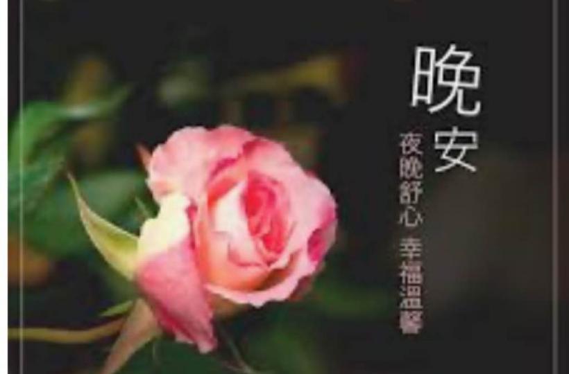 DC24CC41-A61F-43E8-B0B2-5C81E1F34D48-1370-0000004263034E52