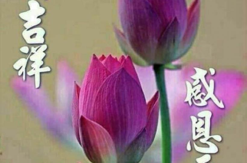 EB453EA5-D1DD-4CFB-8061-21C24BA7D0D7-32769-00001AEC2ED3E0A0