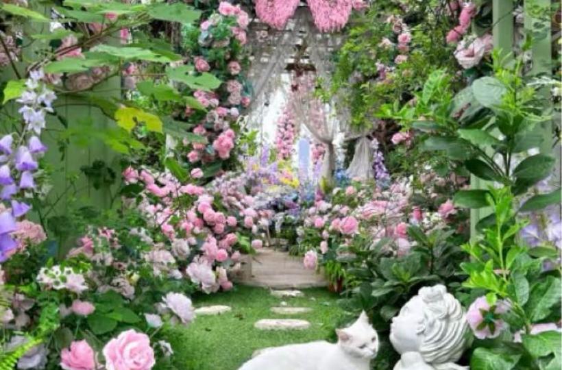 F714194B-2FFF-4579-8DB7-0D6FFA0CF113-779-00000009BA44FEF9