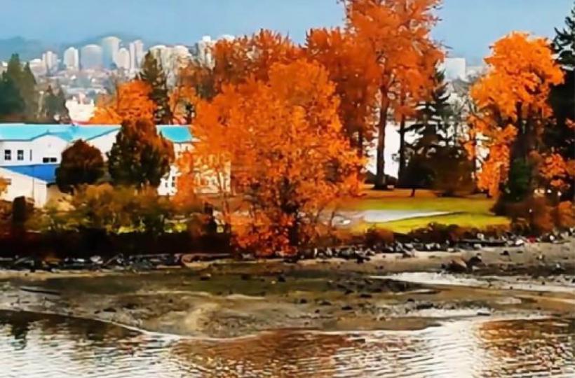 FB58D1A7-BF68-404E-A858-3BF3D9D03B89-1434-0000001FC1F5D9A3