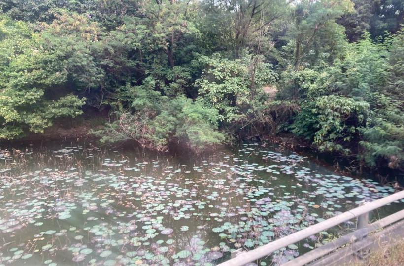 FC3000E6-195D-48F8-8D55-7D33D038E41B-43286-00000BDBD63C6221