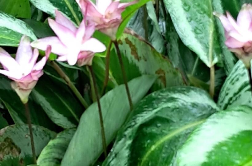 image%3A1000020179