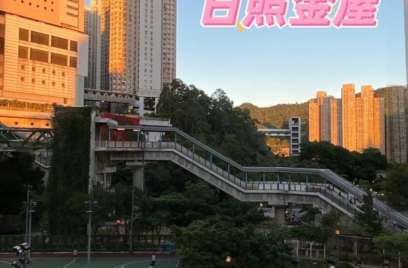 image%3A1000029499_0