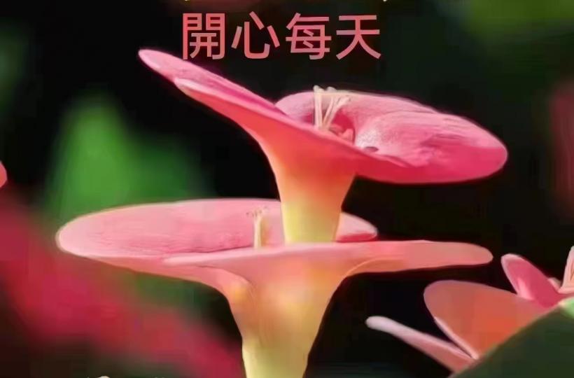 image%3A121067
